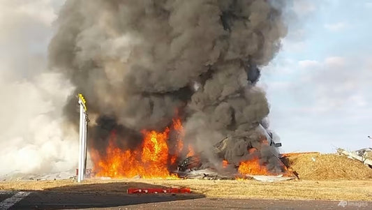 Fatal Air Crash at Muan International Airport in South Korea