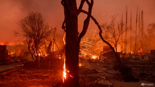 How to Support Los Angeles Wildfire Relief Efforts