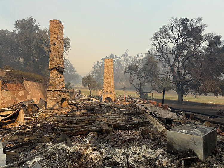 Palisades Fire Devastates Historic Sites in California State Parks